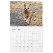 Calendrier 2027 Chiens | Meilleurs amis en toutes saisons (Jan 2027)