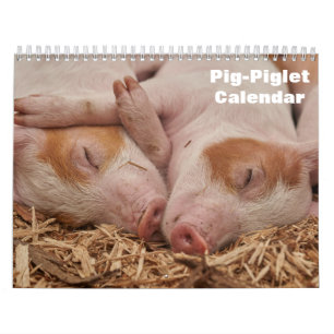 Calendrier 2027 Cochon-Porcelet