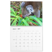 Calendrier 2027 de Koala mignon et câlin (Mar 2027)