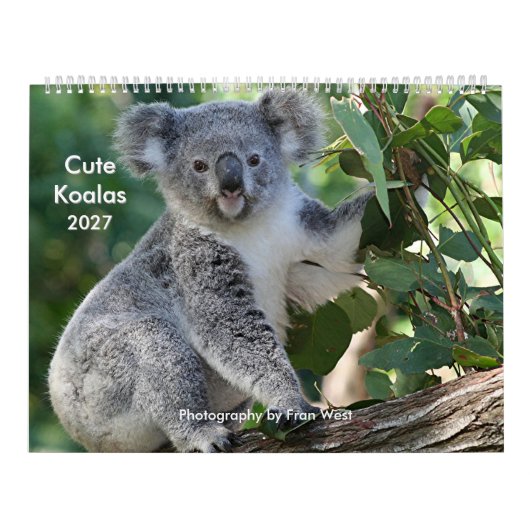 Calendrier 2027 de Koala mignon et câlin (Protection)