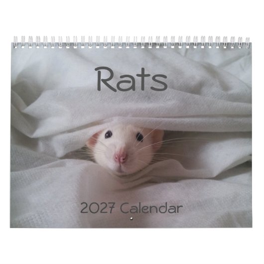 Calendrier 2027 de rat de compagnie (Protection)