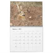Calendrier 2027 des Animaux du Parc d'État de Cust (Feb 2027)