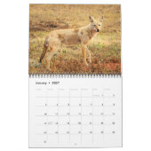 Calendrier 2027 des Animaux du Parc d'État de Cust (Jan 2027)