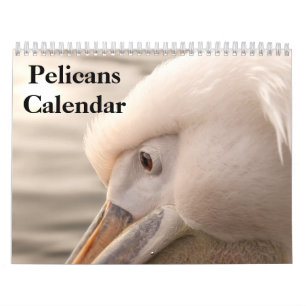 Calendrier 2027 des oiseaux Pélicans