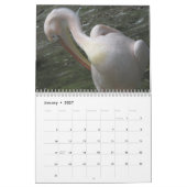 Calendrier 2027 des oiseaux Pélicans (Jan 2027)