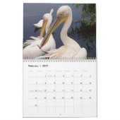 Calendrier 2027 des oiseaux Pélicans (Feb 2027)