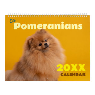 Calendrier 2027 des Pomeranians Mignons Chiens