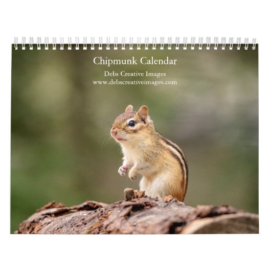 Calendrier 2027 des Tamias des Adirondacks, Photo  (Protection)