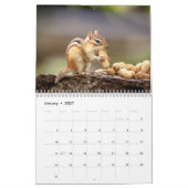 Calendrier 2027 des Tamias des Adirondacks, Photo  (Jan 2027)