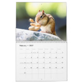 Calendrier 2027 des Tamias des Adirondacks, Photo  (Feb 2027)