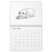 Calendrier 2027 du Teckel à poil dur (Jan 2027)