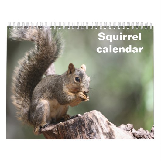 Calendrier 2027 Écureuil (Protection)