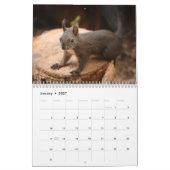Calendrier 2027 Écureuil (Jan 2027)