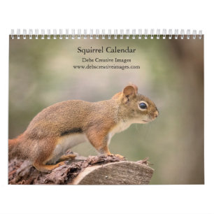 Calendrier 2027 Écureuils Photographie de faune forestière