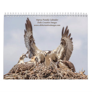 Calendrier 2027 Famille de Balbuzards des Adirondacks Faune
