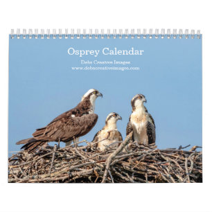 Calendrier 2027 Famille de Balbuzards des Adirondacks Faune
