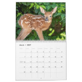 Calendrier 2027 Faons à queue blanche | Jeunes Animaux Sauvag (Mar 2027)