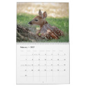 Calendrier 2027 Faons à queue blanche | Jeunes Animaux Sauvag (Feb 2027)