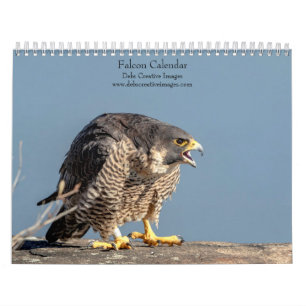 Calendrier 2027 Faucons Maîtres de la Vitesse & du Vol