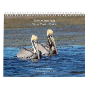 Calendrier 2027 Faune à Fort De Soto Park, Floride Nature