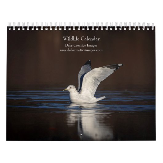 Calendrier 2027 Faune d'Amérique du Nord | Animaux Sauvages (Protection)