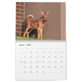 Calendrier 2027 Faune d'Amérique du Nord | Animaux Sauvages (Mar 2027)