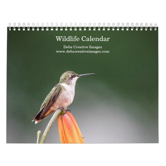Calendrier 2027 Faune d'Amérique du Nord | Oiseaux & Mammifèr (Protection)