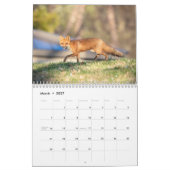 Calendrier 2027 Faune d'Amérique du Nord | Oiseaux & Mammifèr (Mar 2027)