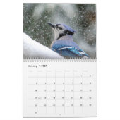 Calendrier 2027 Faune d'Amérique du Nord | Oiseaux & Mammifèr (Jan 2027)