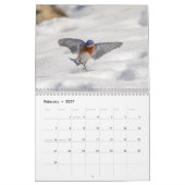 Calendrier 2027 Faune d'Amérique du Nord | Oiseaux & Mammifèr (Feb 2027)