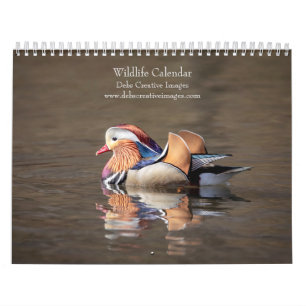 Calendrier 2027 Faune d'Amérique du Nord   Photographie de Na