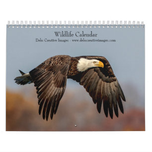 Calendrier 2027 Faune d'Amérique du Nord Photographie de Na