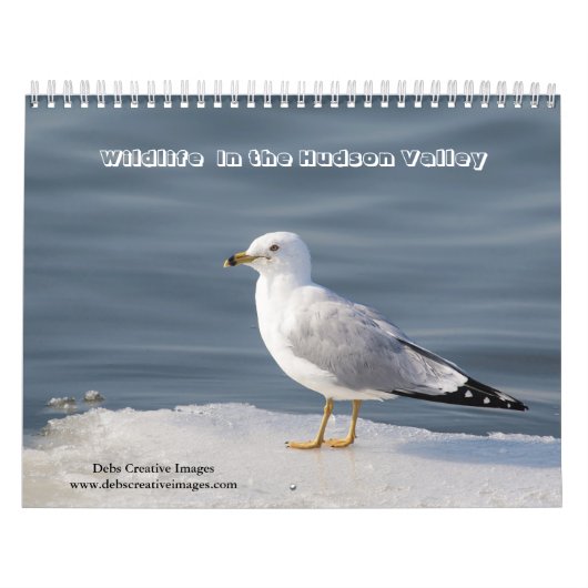 Calendrier 2027 Faune de la vallée de l'Hudson | Nature (Protection)