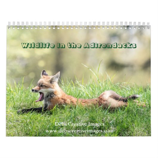 Calendrier 2027 Faune des Adirondacks | Nature (Protection)