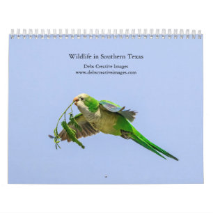 Calendrier 2027 Faune du sud du Texas   Photographie de natur