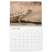 Calendrier 2027 Faune du sud du Texas | Photographie de natur (Mar 2027)