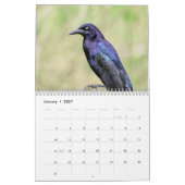 Calendrier 2027 Faune du sud du Texas | Photographie de natur (Jan 2027)