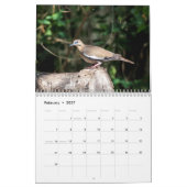 Calendrier 2027 Faune du sud du Texas | Photographie de natur (Feb 2027)