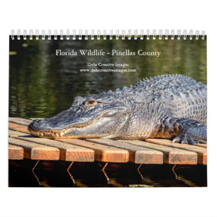 Calendrier 2027 Faune et Flore de Floride Nature du Comté d