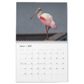 Calendrier 2027 Faune et Flore de Floride | Nature du Comté d (Mar 2027)