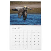 Calendrier 2027 Faune et Flore de Floride | Nature du Comté d (Jan 2027)