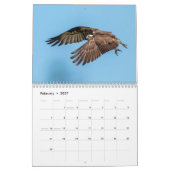 Calendrier 2027 Faune et Flore de Floride | Nature du Comté d (Feb 2027)