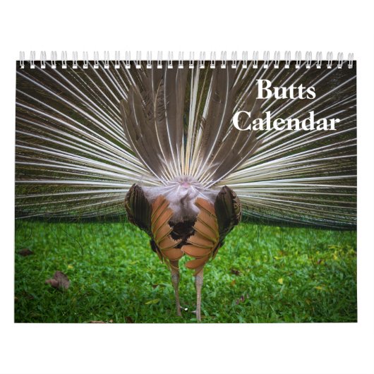 Calendrier 2027 Fesses (Protection)