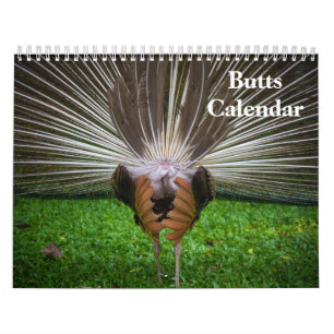 Calendrier 2027 Fesses