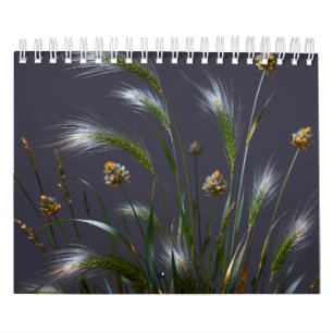 Calendrier 2027 Golden Grass