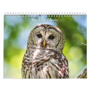 Calendrier 2027 Hiboux rayés Mystères de la Forêt