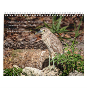 Calendrier 2027 Homosassa Springs Parc d'État pour la faune e