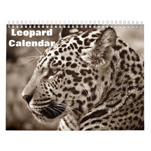 Calendrier 2027 Léopard (Protection)