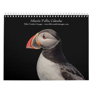 Calendrier 2027 Macareux atlantiques | Oiseaux de mer du Main