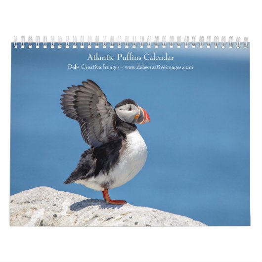 Calendrier 2027 Macareux de l'Atlantique | Photographie de la (Protection)